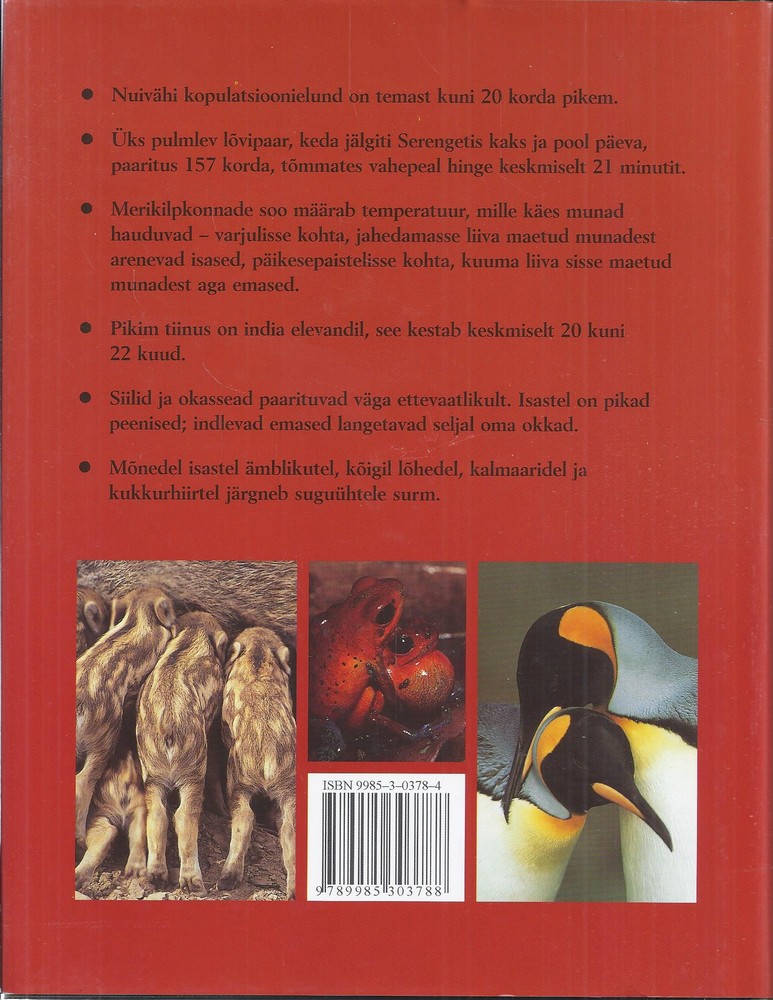 Back Cover