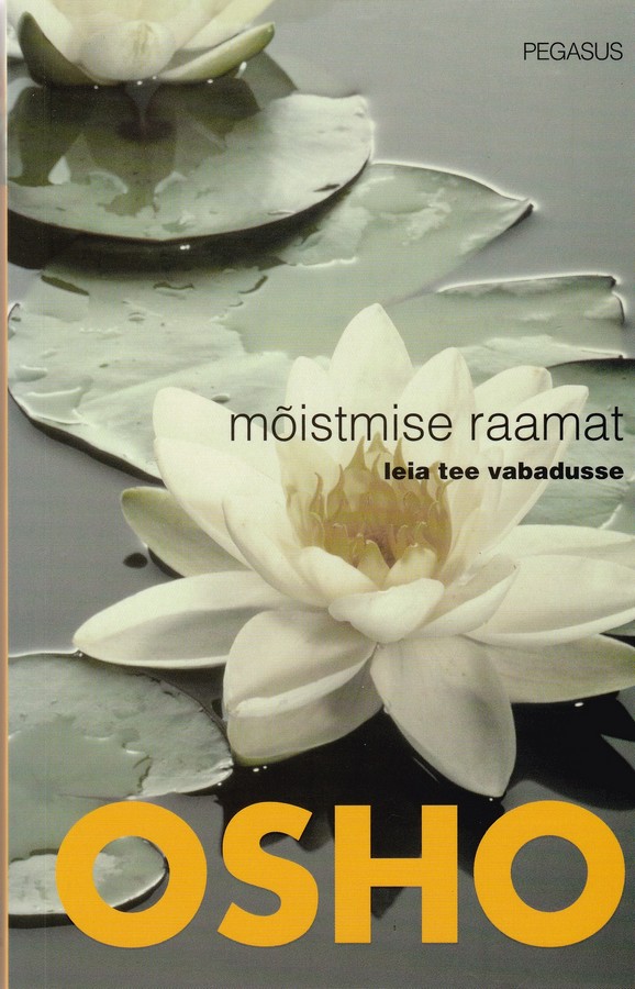 Mõistmise raamat