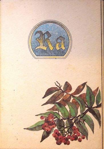 Back Cover